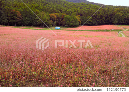 Minowa's Red Soba Village Minowa's Red Soba Village 132190773