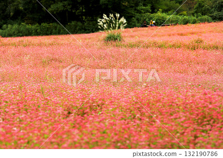 Minowa's Red Soba Village 132190786