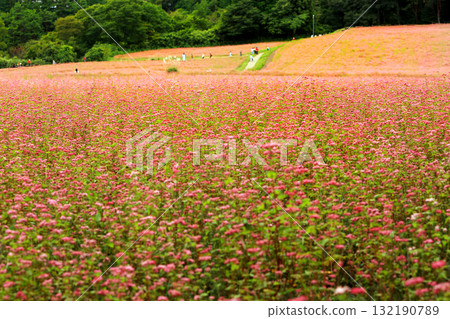 Minowa's Red Soba Village 132190789