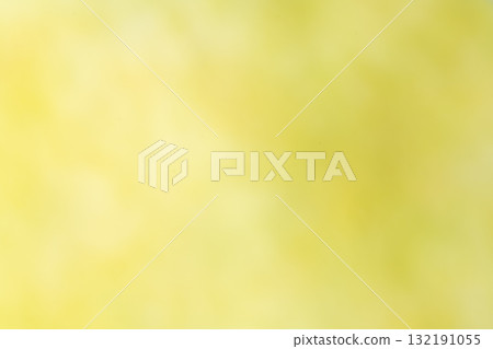 Soft yellow-green blurred background 132191055