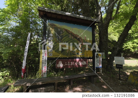Fresh greenery at the Odani Castle ruins Fresh greenery at the Odani Castle ruins 132191086