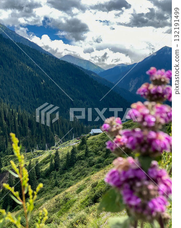 Mountain Landscape with Pink Flowers in Foreground Mountain Landscape with Pink Flowers in Foreground 132191499