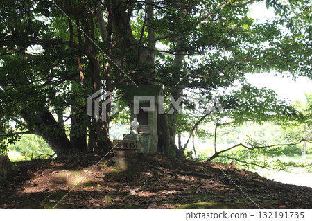 將軍塚古墓 132191735