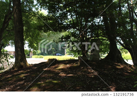 將軍塚古墓 將軍塚古墓 132191736