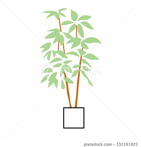 圖庫插圖: 發財樹盆栽室內植物插圖 132191925