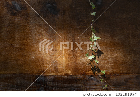 Natural wood grain and ivy wall Natural wood grain and ivy wall 132191954