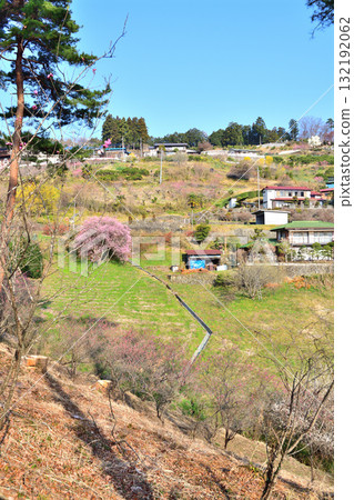 Hanamomo Village, Early Spring in the Satoyama Mountains, Private Houses Built on the Slope, Higashichichibu Village 132192062