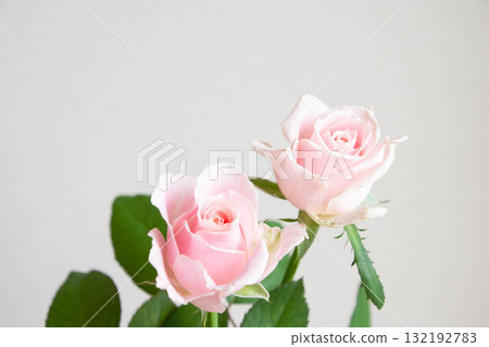 甜蜜雪崩 132192783