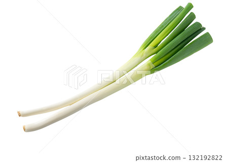 透明背景(png)上的兩根長蔥(白洋蔥) 透明背景(png)上的兩根長蔥(白洋蔥) 132192822