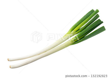 透明背景（png）上的兩根長蔥（白洋蔥） 132192823