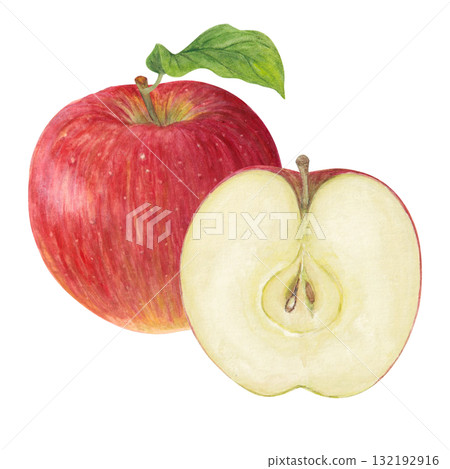 切開的蘋果的水彩插圖 132192916