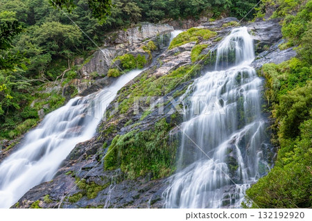優美的瀑布，大川瀑布，日本百大瀑布之一，屋久島國立公園（夏季） 132192920