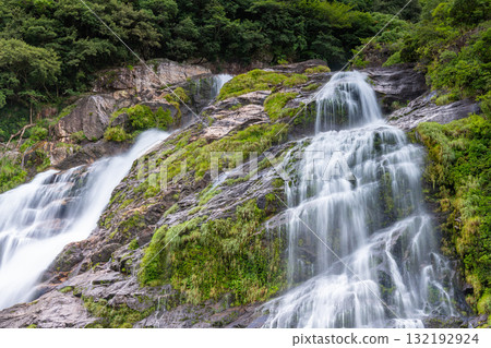 優美的瀑布，大川瀑布，日本百大瀑布之一，屋久島國立公園（夏季） 132192924