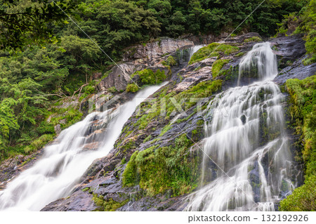 Graceful flowing waterfall, Okawa Falls, one of Japan's top 100 waterfalls, Yakushima National Park (Summer) 132192926