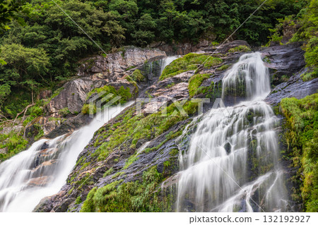 優美的瀑布，大川瀑布，日本百大瀑布之一，屋久島國立公園（夏季） 132192927