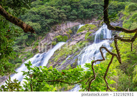 Graceful flowing waterfall, Okawa Falls, one of Japan's top 100 waterfalls, Yakushima National Park (Summer) Graceful flowing waterfall, Okawa Falls, one of Japan's top 100 waterfalls, Yakushima National Park (Summer) 132192931