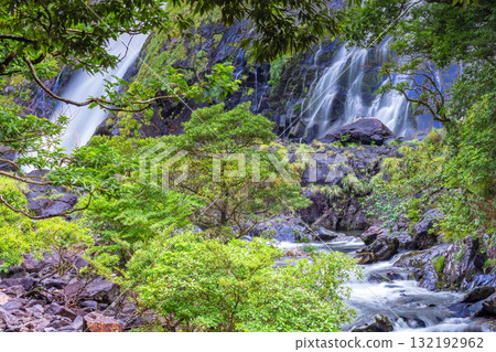 The refreshing roar of the Okawa River and Okawa Falls in Yakushima National Park (summer) 132192962