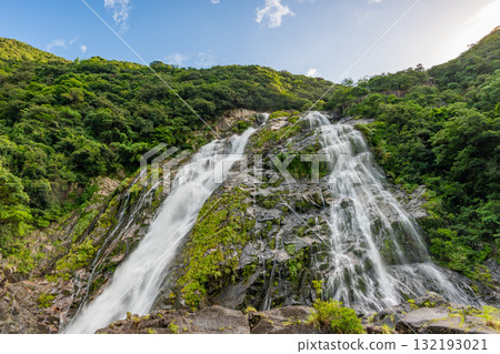 The refreshing roar of Okawa Falls, one of Japan's top 100 waterfalls, Yakushima National Park (Summer) 132193021