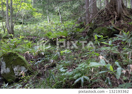遠野市的石上山脈 遠野市的石上山脈 132193362