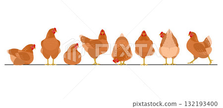 A set of brown chickens in various poses lined up in a row A set of brown chickens in various poses lined up in a row 132193400