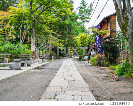 Tokyo Shichoji Temple 132193473