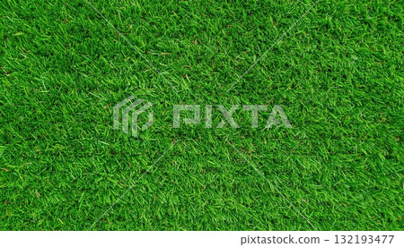 AI Image: Lush green grass AI Image: Lush green grass 132193477