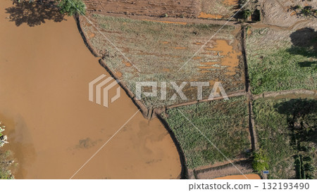 Aerial view of corn field damaged from flooded river. 132193490