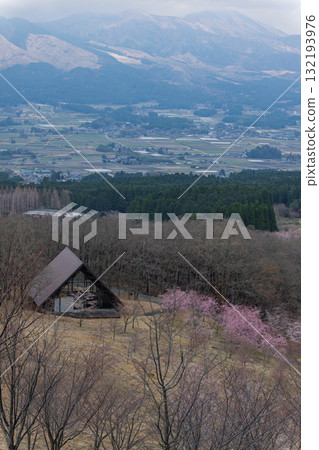 Cherry blossoms and rural scenery against the backdrop of Mount Aso on a beautiful spring day. Aspecta, one of the world's largest outdoor stages (Minamiaso Village) 132193976