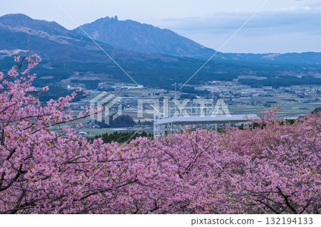 美麗的春天，櫻花在阿蘇山的襯托下格外美麗，世界最大的戶外舞台之一就是Aspecta（南阿蘇村） 132194133