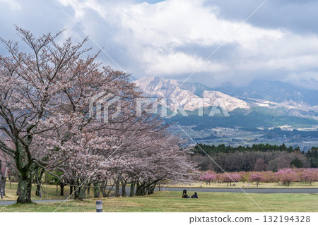 美麗的春天，櫻花樹在阿蘇山的襯托下格外引人注目。世界最大規模的戶外舞台「Aspecta」（南阿蘇村） 132194328