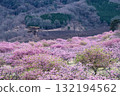 Cherry blossoms stand out against the backdrop of the Aso mountains on a beautiful spring day at Aspecta, one of the world's largest outdoor stages (Minamiaso Village). Cherry blossoms stand out against the backdrop of the Aso mountains on a beautiful spring day at Aspecta, one of the world's largest outdoor stages (Minamiaso Village). 132194562