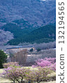 Cherry blossoms stand out against the backdrop of the Aso mountains on a beautiful spring day at Aspecta, one of the world's largest outdoor stages (Minamiaso Village). Cherry blossoms stand out against the backdrop of the Aso mountains on a beautiful spring day at Aspecta, one of the world's largest outdoor stages (Minamiaso Village). 132194565