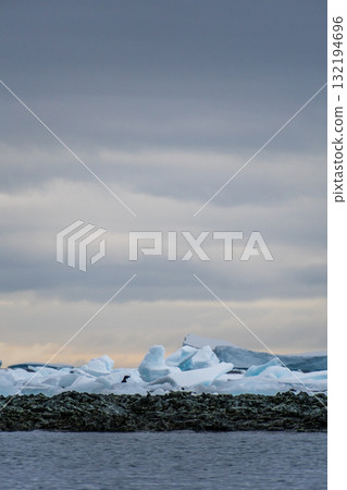 Impression of the Adelie Penguin Colony at the fish islands Impression of the Adelie Penguin Colony at the fish islands 132194696