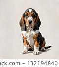 巴吉度獵犬小狗坐著看著相機 132194840