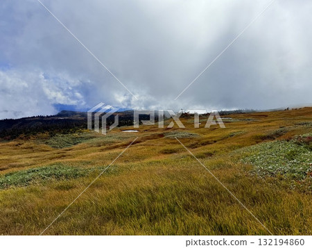 The marshland and boardwalk of Mt. Naeba, and the pond lit up by autumn leaves The marshland and boardwalk of Mt. Naeba, and the pond lit up by autumn leaves 132194860
