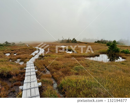 The marshland and boardwalk of Mt. Naeba, and the pond lit up by autumn leaves 132194877