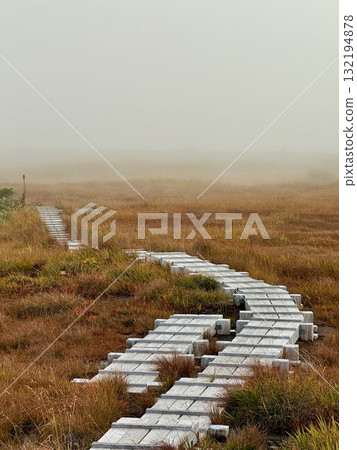 The marshland and boardwalk of Mt. Naeba, and the pond lit up by autumn leaves The marshland and boardwalk of Mt. Naeba, and the pond lit up by autumn leaves 132194878