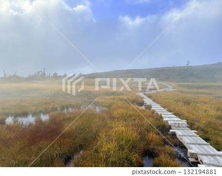 苗場山的濕地和木板路，以及被秋葉點亮的池塘 132194881