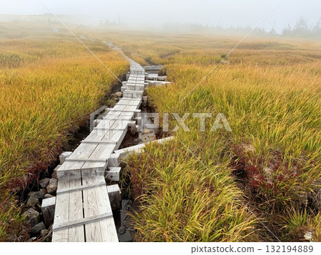 The marshland and boardwalk of Mt. Naeba, and the pond lit up by autumn leaves 132194889