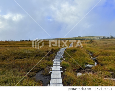 The marshland and boardwalk of Mt. Naeba, and the pond lit up by autumn leaves 132194895