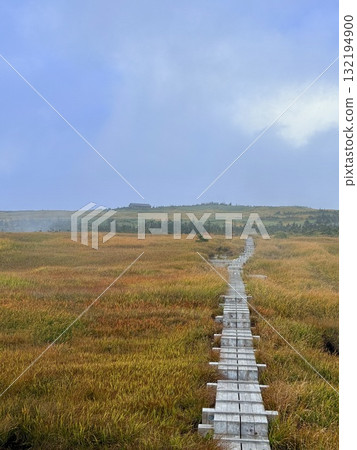 The marshland and boardwalk of Mt. Naeba, and the pond lit up by autumn leaves 132194900