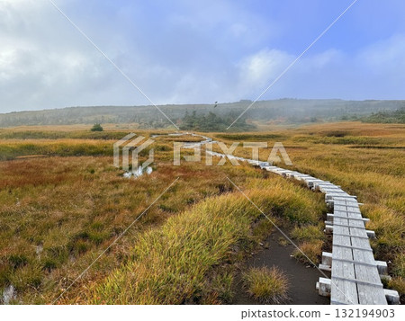 The marshland and boardwalk of Mt. Naeba, and the pond lit up by autumn leaves The marshland and boardwalk of Mt. Naeba, and the pond lit up by autumn leaves 132194903