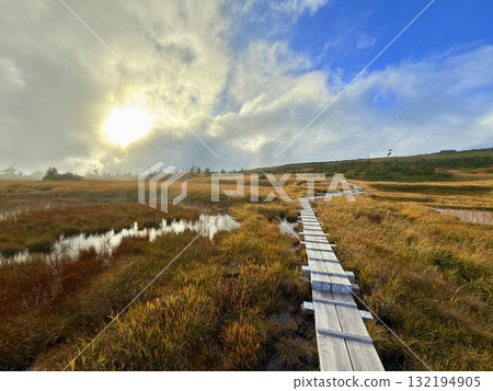 The marshland and boardwalk of Mt. Naeba, and the pond lit up by autumn leaves The marshland and boardwalk of Mt. Naeba, and the pond lit up by autumn leaves 132194905