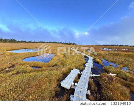 The marshland and boardwalk of Mt. Naeba, and the pond lit up by autumn leaves 132194910