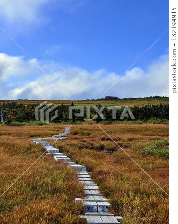 苗場山的濕地和木板路，以及被秋葉點亮的池塘 132194915