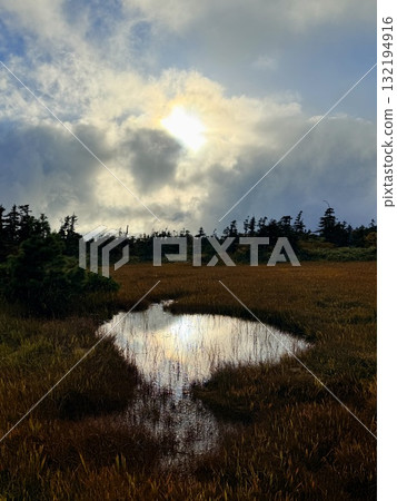 苗場山的濕地和木板路,以及被秋葉點亮的池塘 苗場山的濕地和木板路,以及被秋葉點亮的池塘 132194916