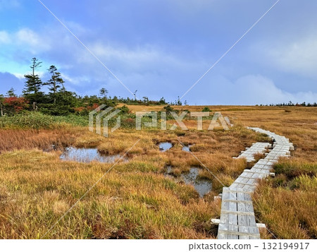 苗場山的濕地和木板路，以及被秋葉點亮的池塘 132194917