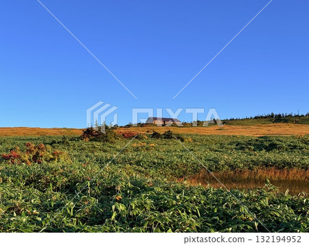 The marshland and boardwalk of Mt. Naeba, and the pond lit up by autumn leaves 132194952
