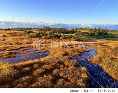 The marshland and boardwalk of Mt. Naeba, and the pond lit up by autumn leaves 132194955