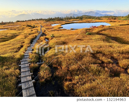 The marshland and boardwalk of Mt. Naeba, and the pond lit up by autumn leaves 132194963